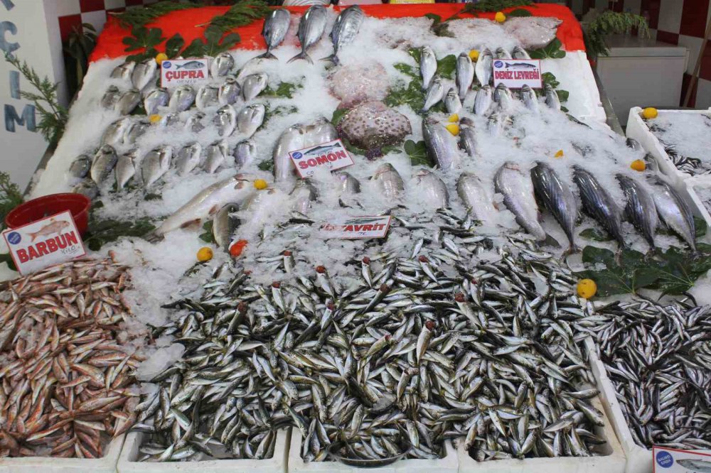 1 EYLÜL TARİHİNDE BAŞLAYAN AVLANMA SEZONUNUN ARDINDAN ORDU'DAKİ BALIKÇILARDA YOĞUNLUK YAŞANMAYA BAŞLADI. ORDULU BALIKÇILAR HAMSİDEN UMUTLU