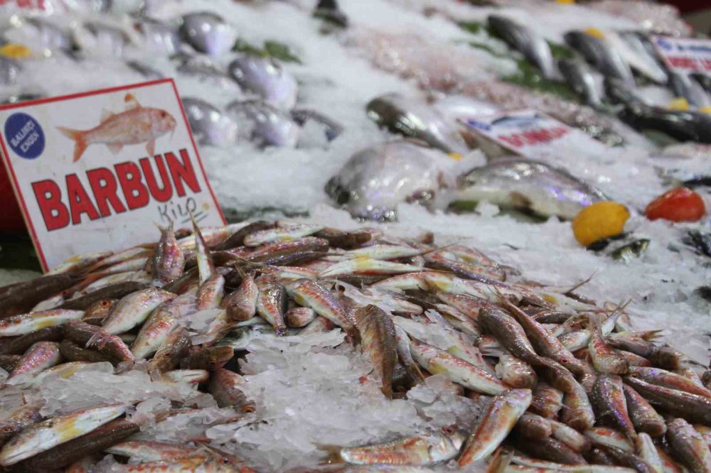 1 EYLÜL TARİHİNDE BAŞLAYAN AVLANMA SEZONUNUN ARDINDAN ORDU'DAKİ BALIKÇILARDA YOĞUNLUK YAŞANMAYA BAŞLADI. ORDULU BALIKÇILAR HAMSİDEN UMUTLU