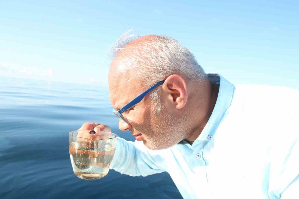 GÜMÜŞHANE ÜNİVERSİTESİ’NDEN PROF. DR. NAFIZ MADEN, DOĞU KARADENİZ'DE PETROL REZERVİNİN BULUNUP BULUNMADIĞINA DAİR NUMUNE ALMAK ÇAYELİ İLÇESİNİN YAKLAŞIK 7 MİL AÇIKLADINDA DENİZE AÇILDI