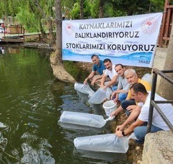 AMASYA YEDİKIR SU ÜRÜNLERİ ÜRETİM TESİSİ'NDE ÜRETİLEN 50 BİN ADET SAZAN BALIĞI YAVRULARI, TRABZON'DA SERA GÖLÜ VE BALIKLI GÖL'E BIRAKILDI