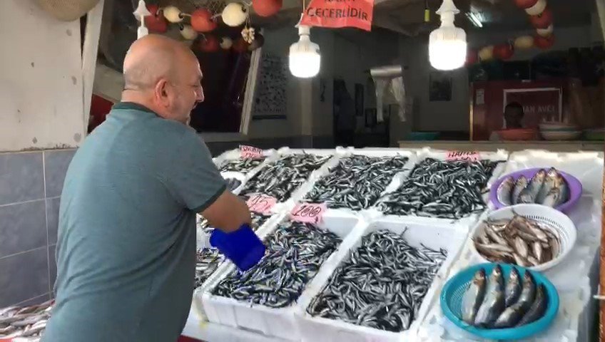 AV SEZONUNDA İLK KEZ YERLİ HAMSİ PAZAR İLÇESİNDE TEZGAHTAKİ YERİNİ ALDI. RİZE-ARTVİN HAVALİMANI CİVARLARINDA AVLANAN HAMSİ PAZAR İLÇESİNDE BALIKÇI TEZGAHLARINDA YERİNİ ALDI. SEZONUN İLK YERLİ HAMSİSİ 100 TL'DEN SATIŞA ÇIKTI