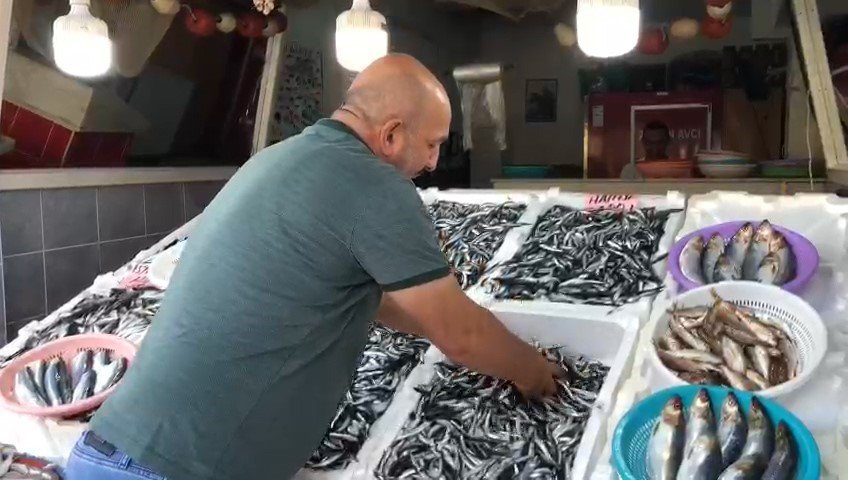 AV SEZONUNDA İLK KEZ YERLİ HAMSİ PAZAR İLÇESİNDE TEZGAHTAKİ YERİNİ ALDI. RİZE-ARTVİN HAVALİMANI CİVARLARINDA AVLANAN HAMSİ PAZAR İLÇESİNDE BALIKÇI TEZGAHLARINDA YERİNİ ALDI. SEZONUN İLK YERLİ HAMSİSİ 100 TL'DEN SATIŞA ÇIKTI