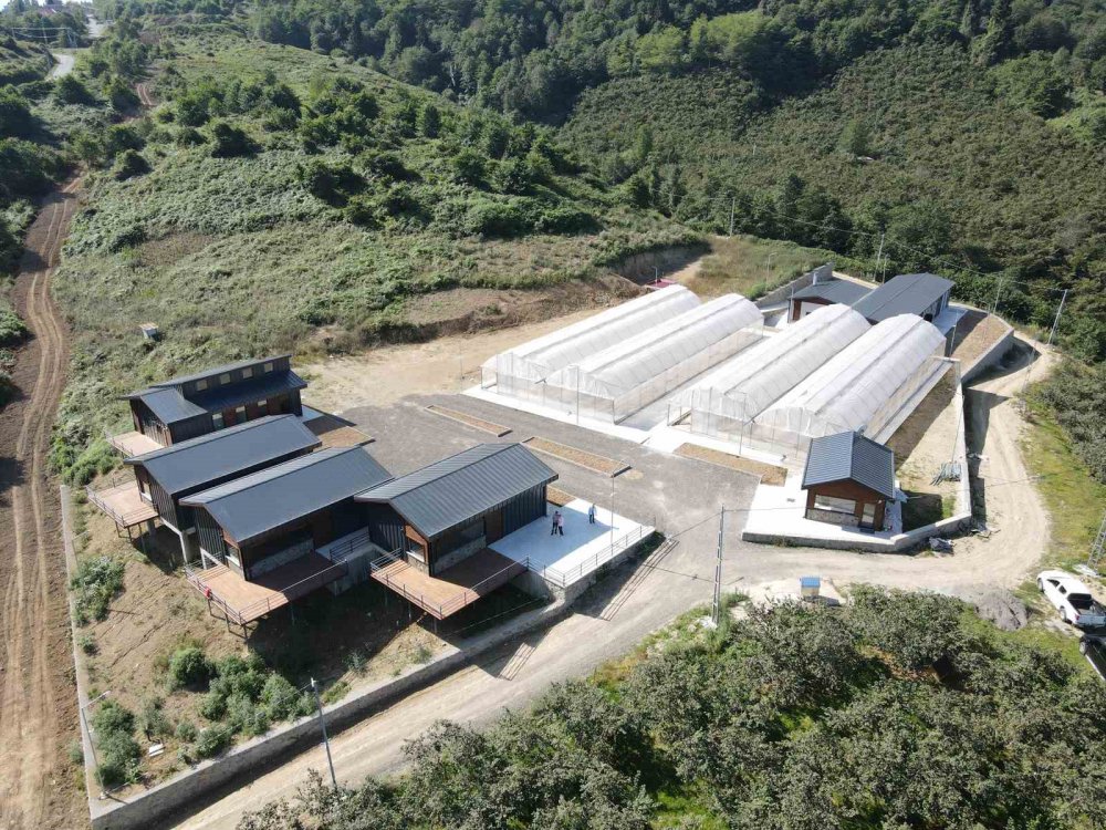 ORTAHİSAR BELEDİYE BAŞKANI AHMET METİN GENÇ, GEÇİT MAHALLESİ'NDE HAYATA GEÇİRİLEN "EN MUTLU KÖY" PROJESİNDE İNCELEMELERDE BULUNDU