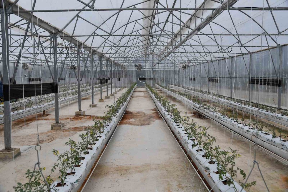 ORTAHİSAR BELEDİYE BAŞKANI AHMET METİN GENÇ, GEÇİT MAHALLESİ'NDE HAYATA GEÇİRİLEN "EN MUTLU KÖY" PROJESİNDE İNCELEMELERDE BULUNDU