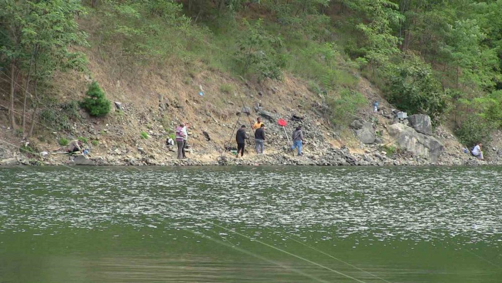 BARAJ GÖLÜNDE BALIK KAFESLERİ YIRTILDI, OLTASINI ALAN KOŞTU. ARTVİN'DE BARAJ GÖLÜNDE BALIK KAFESLERİNDEN BİRİNDE YIRTILMA MEYDANA GELMESİ İLE BİNLERCE TÜRK SOMONU GÖLE DAĞILDI