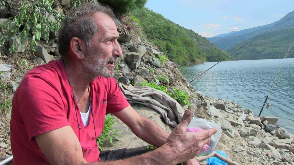 BARAJ GÖLÜNDE BALIK KAFESLERİ YIRTILDI, OLTASINI ALAN KOŞTU. ARTVİN'DE BARAJ GÖLÜNDE BALIK KAFESLERİNDEN BİRİNDE YIRTILMA MEYDANA GELMESİ İLE BİNLERCE TÜRK SOMONU GÖLE DAĞILDI