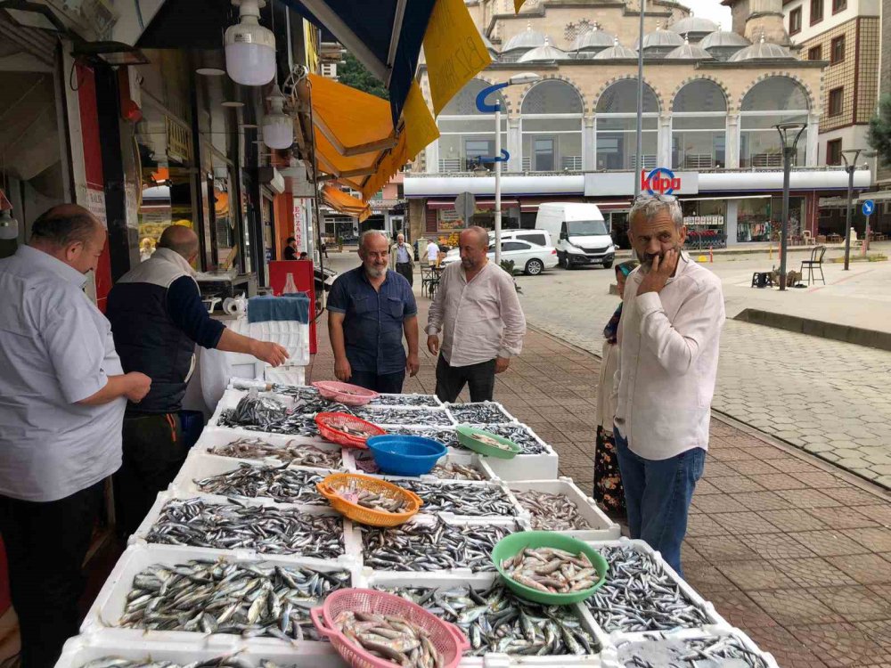 RİZE'NİN PAZAR İLÇESİNDE BALIKÇILIK YAPAN ESNAF, HALK GÜNÜ YAPARAK HAMSİNİN KİLOGRAMINI 35 TL'YE SATIŞA SUNDU