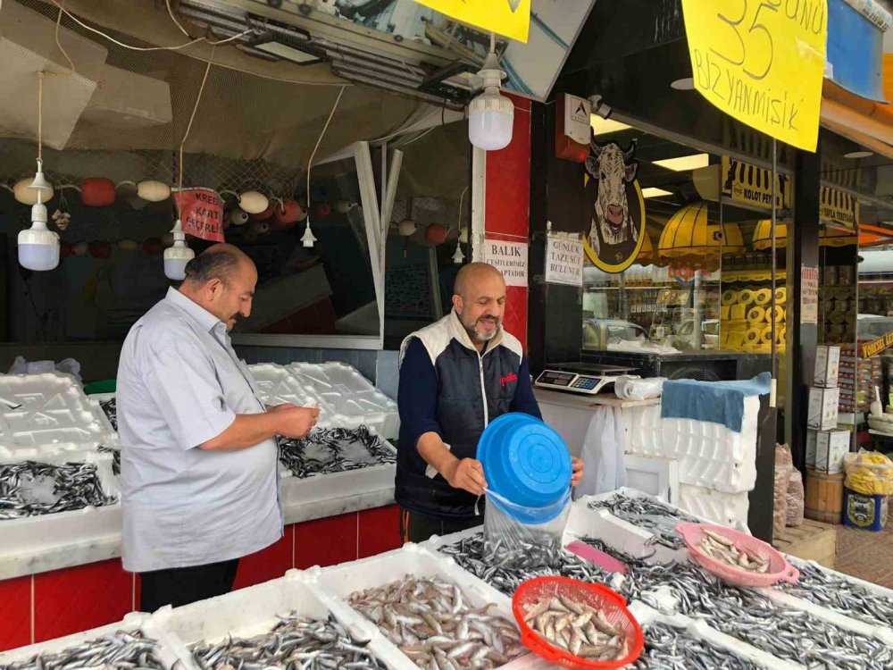 RİZE'NİN PAZAR İLÇESİNDE BALIKÇILIK YAPAN ESNAF, HALK GÜNÜ YAPARAK HAMSİNİN KİLOGRAMINI 35 TL'YE SATIŞA SUNDU