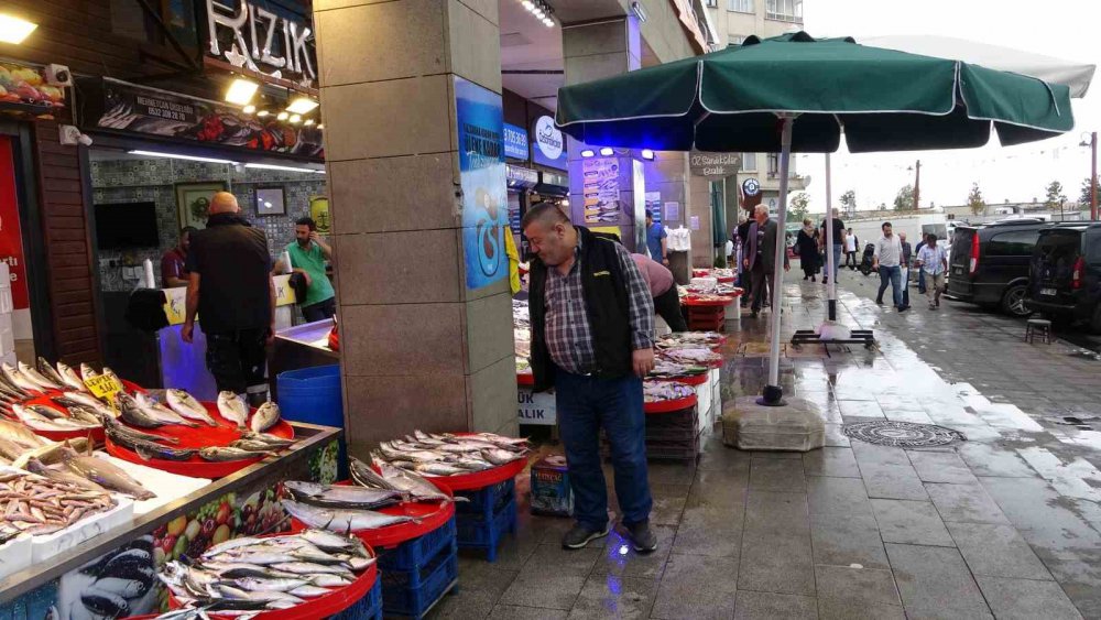 1 EYLÜL İTİBARİYLE SONA ERMESİYLE KARADENİZ'E AÇILAN BALIKÇILAR SON YILLARIN EN BEREKETLİ AV SEZONU YAŞANDIĞI BU GÜNLERDE TEZGAHLAR HAMSİ, İSTAVRİT, MEZGİT, BARBUN VE SARGAN BALIKLARI İLE SÜSLENDİ