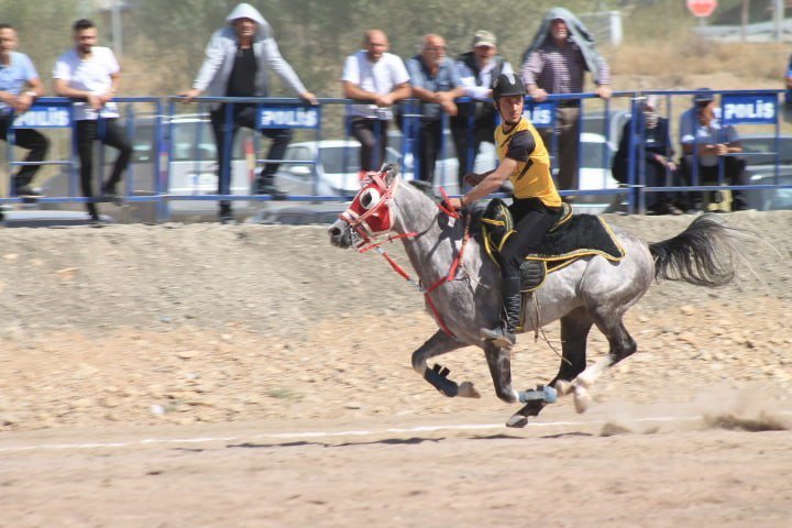 TÜRKİYE GELENEKSEL SPOR DALLARI FEDERASYONU ATLI CİRİT TÜRKİYE FİNALİ 1'İNCİ LİGE YÜKSELME B GRUBU MÜSABAKALARI SONA ERDİ. TÜRKİYE CİRİT ŞAMPİYONASI’NDA BİRİNCİ ERZURUM İKİNCİ BAYBURT OLDU