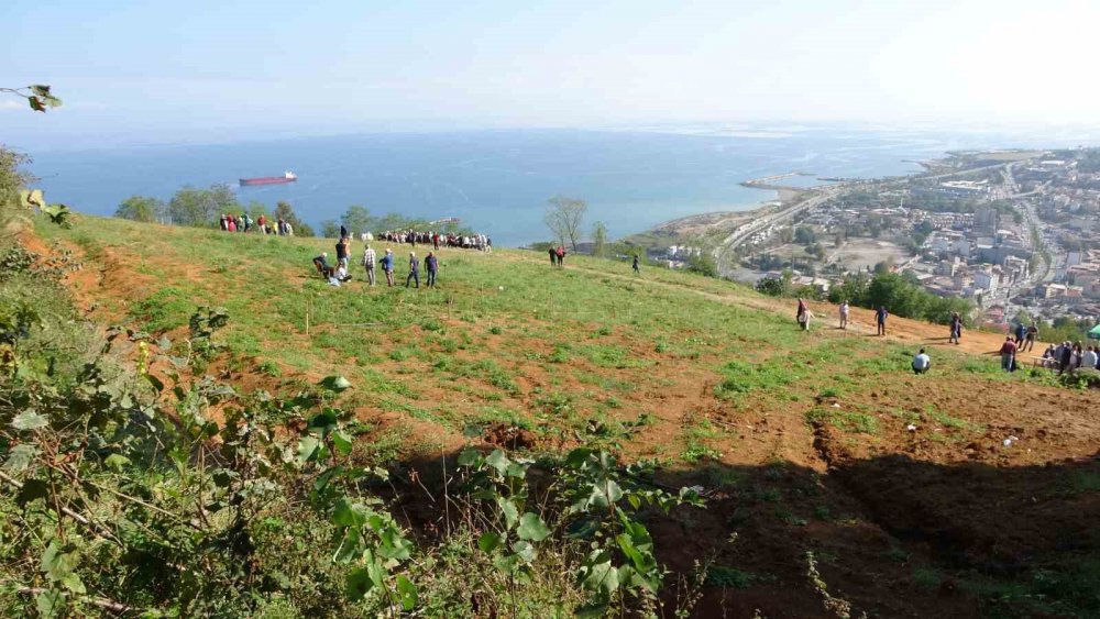 TRABZON BOZTEPE’DE DENİZ MANZARALI MEZARLIK ALANINA YOĞUN TALEP OLUNCA , MEZAR YERİ ALMAK İSTEYEN VATANDAŞLAR MEZAR YERİNİN BELİRLENMESİ SIRASINDA HEM KENDİ ARALARINDA HEM DE GÖREVLİLERLE TARTIŞTI
