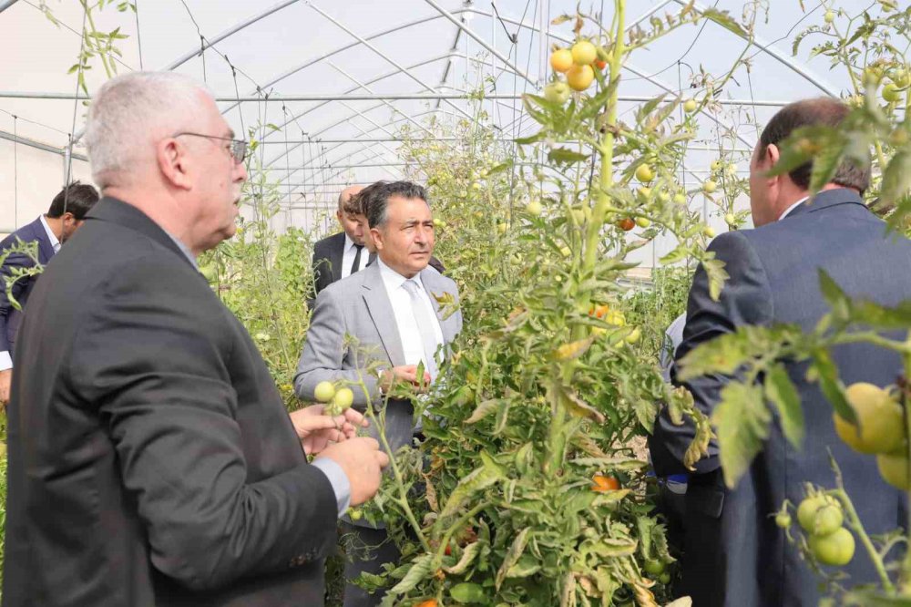 BAYBURT MESLEKİ VE TEKNİK ANADOLU LİSESİ TARAFINDAN "HEM EĞİTİM HEM ÜRETİM" SLOGANIYLA KURULAN VE SEBZE YETİŞTİRİLEN SERADA İLK HASAT ŞENLİĞİ YAPILDI