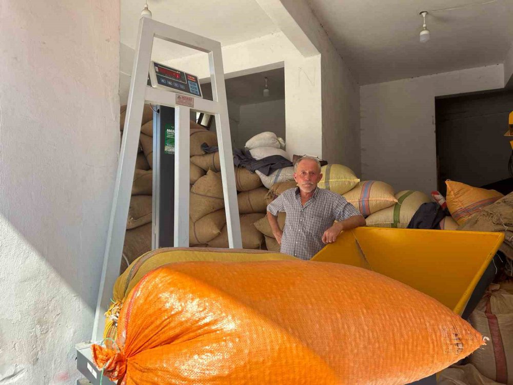 FINDIK ÜRETİCİLERİ SERBEST PİYASADA FINDIK FİYATININ DÜŞÜŞ EĞİLİMİNDE OLDUĞUNU İFADE EDEREK YÜKSELİŞİN DURMAMASI GEREKTİĞİNİ SÖYLEDİ