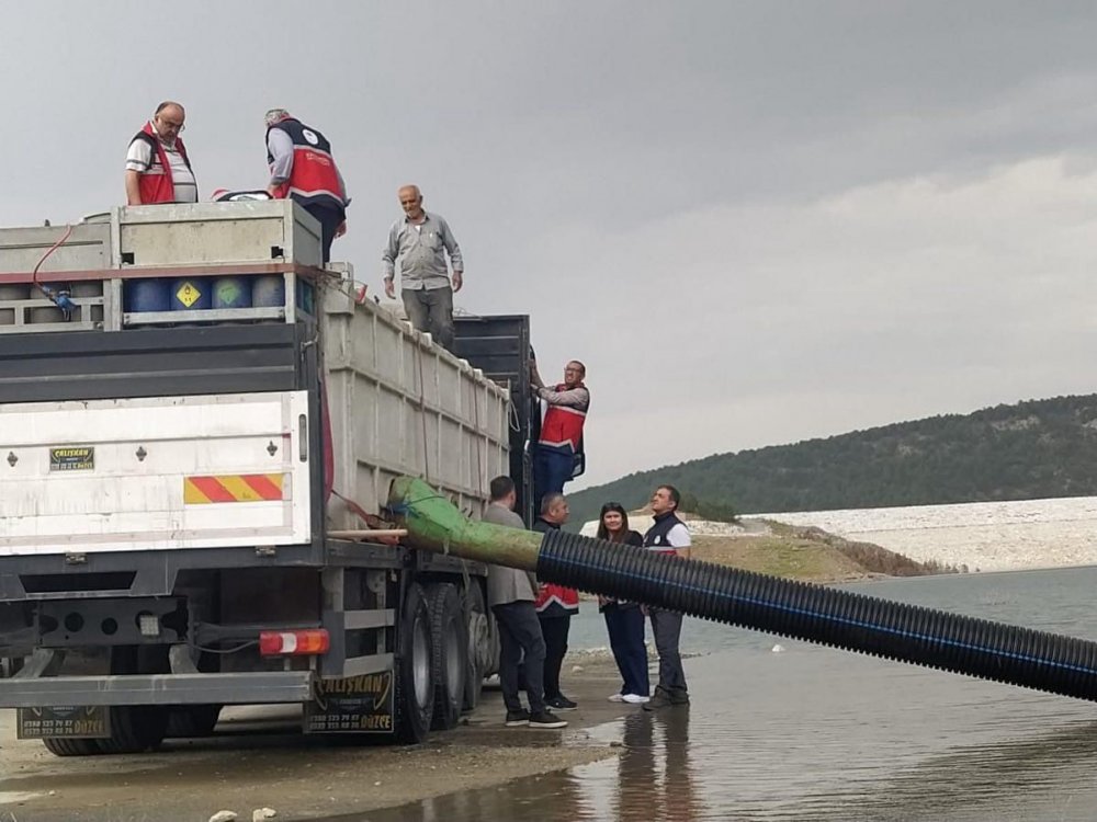 KASTAMONU'DA 2023 YILI İÇERİSİNDE İL GENELİNDEKİ GÖLETLERE YAKLAŞIK 1 MİLYON YAVRU SAZAN BALIĞI SALINDI