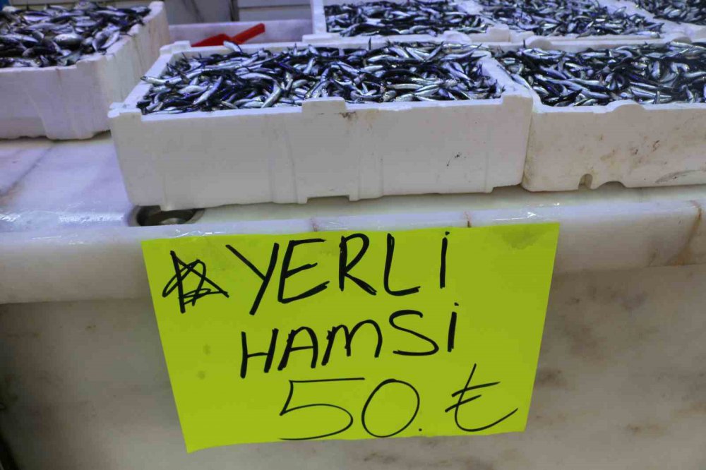 DENİZLERDE HAMSİ BOLLUĞU YAŞANIRKEN BALIKÇILAR, DENİZ SICAKLIĞININ DÜŞMESİYLE FARKLI BALIK TÜRLERİNİN DE TEZGAHLARDA YER ALMASINI BEKLİYOR