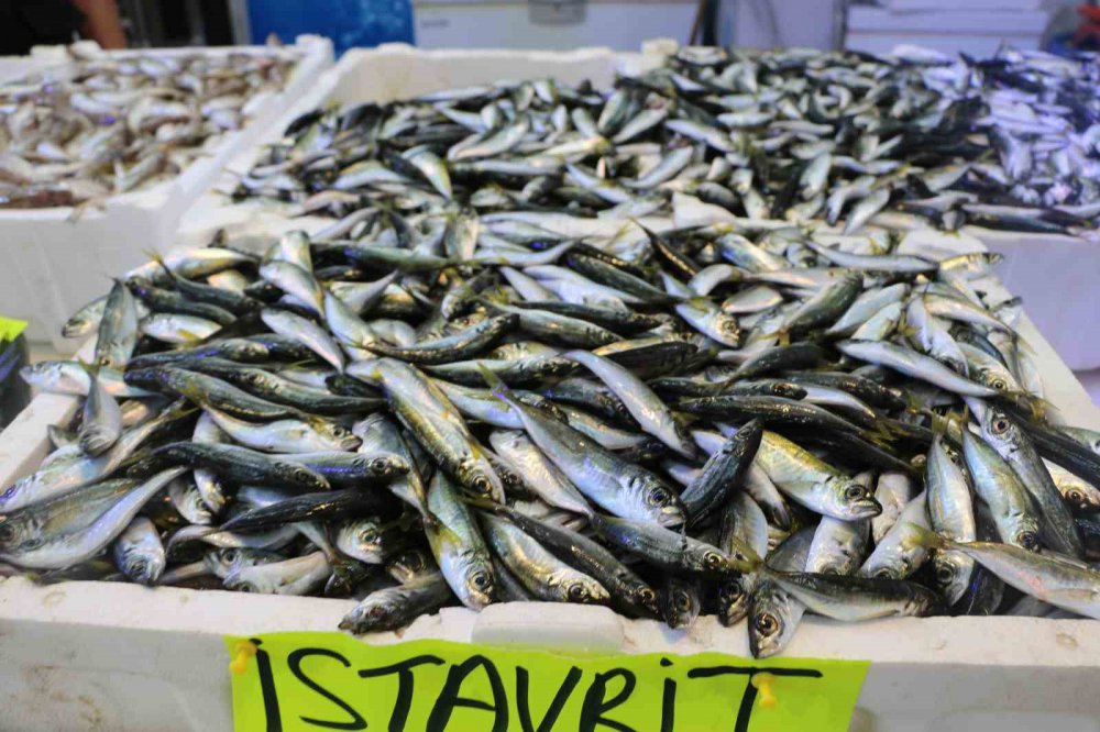 DENİZLERDE HAMSİ BOLLUĞU YAŞANIRKEN BALIKÇILAR, DENİZ SICAKLIĞININ DÜŞMESİYLE FARKLI BALIK TÜRLERİNİN DE TEZGAHLARDA YER ALMASINI BEKLİYOR