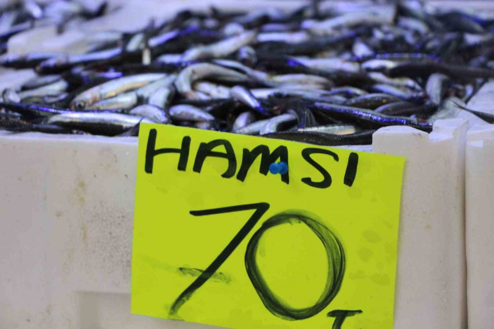 DENİZLERDE HAMSİ BOLLUĞU YAŞANIRKEN BALIKÇILAR, DENİZ SICAKLIĞININ DÜŞMESİYLE FARKLI BALIK TÜRLERİNİN DE TEZGAHLARDA YER ALMASINI BEKLİYOR