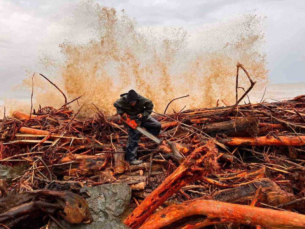 RİZE'DE DÜN YAŞANAN ŞİDDETLİ YAĞIŞLAR SONRASI OLUŞAN SELLER İLE BİRLİKTE DERELERİN GETİRDİĞİ ODUN VE KÜTÜK PARÇALARI DENİZE ULAŞIRKEN, YÖREDEKİ VATANDAŞLAR KIŞLIK YAKACAKLARINI TEMİN ETMEK İÇİN KARADENİZ SAHİLİ'Nİ DOLDURDU