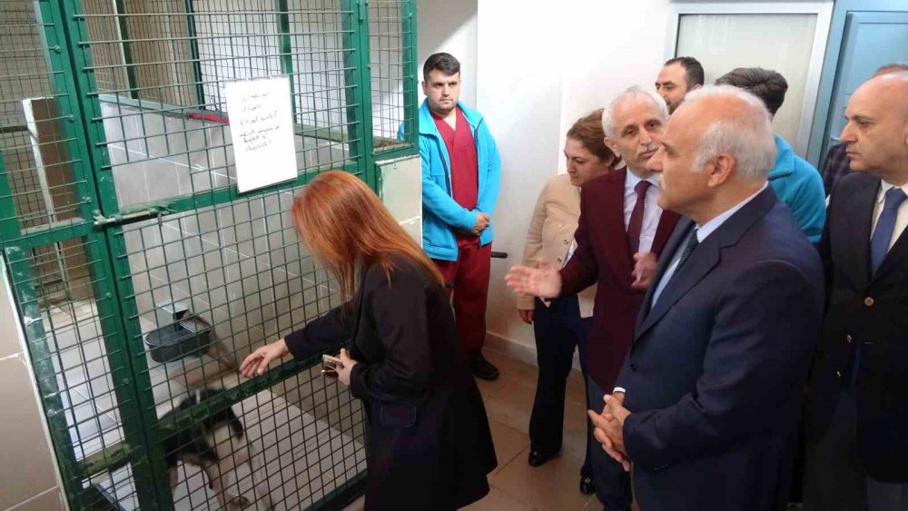 TRABZON'DA KURULAN SOKAK HAYVANLARI GEÇİCİ BAKIMEVİ VE REHABİLİTASYON MERKEZİ'NDE 4 EKİM DÜNYA HAYVANLARI KORUMA GÜNÜ'NDE DÜZENLENEN ETKİNLİKTE İLKOKUL ÖĞRENCİLERİ SOKAK HAYVANLARI İLE VAKİT GEÇİRDİ