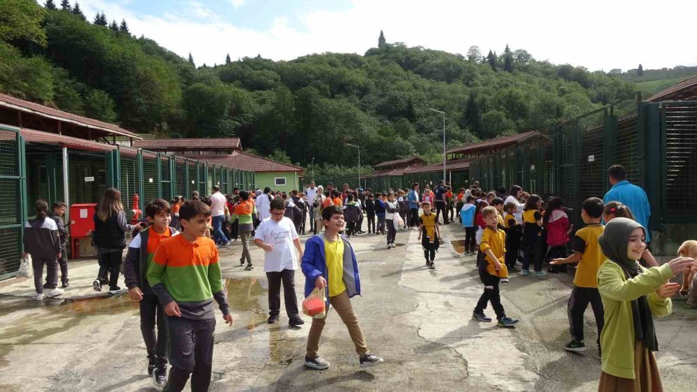 TRABZON'DA KURULAN SOKAK HAYVANLARI GEÇİCİ BAKIMEVİ VE REHABİLİTASYON MERKEZİ'NDE 4 EKİM DÜNYA HAYVANLARI KORUMA GÜNÜ'NDE DÜZENLENEN ETKİNLİKTE İLKOKUL ÖĞRENCİLERİ SOKAK HAYVANLARI İLE VAKİT GEÇİRDİ