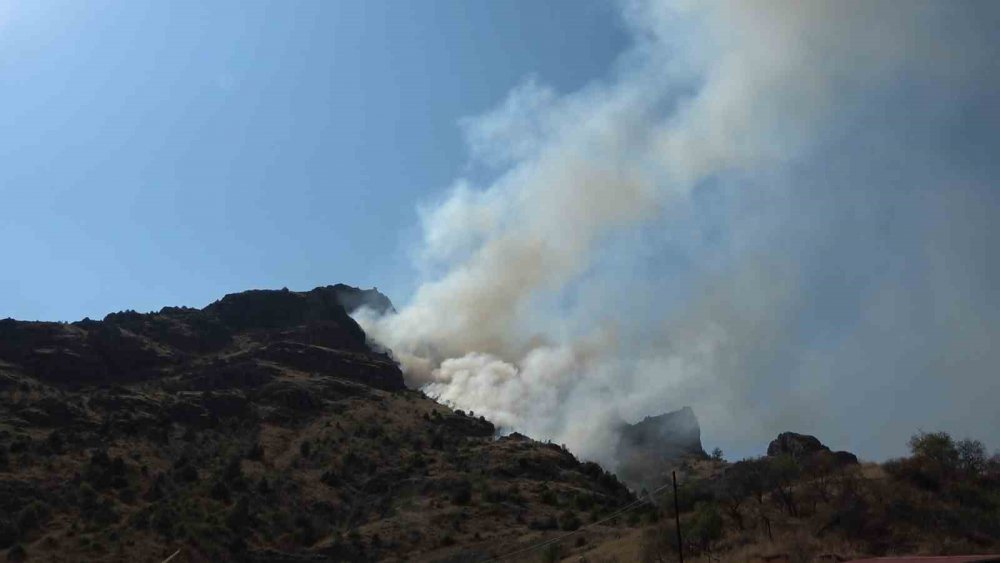 GÜMÜŞHANE'DE GEÇTİĞİMİZ CUMA GÜNÜ CANCA MAHALLESİ, LİMON DERESİ VE TARİHİ CANCA KALESİ ARASINDA BULUNAN BÖLGEDE ÇÖPLERİ YAKMAK İSTEYEN VATANDAŞ  2 HEKTARLIK ALANI KÜLE DÖNDÜRDÜ