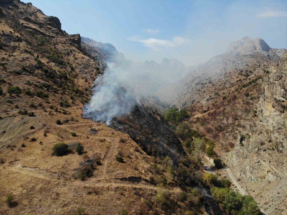 GÜMÜŞHANE'DE GEÇTİĞİMİZ CUMA GÜNÜ CANCA MAHALLESİ, LİMON DERESİ VE TARİHİ CANCA KALESİ ARASINDA BULUNAN BÖLGEDE ÇÖPLERİ YAKMAK İSTEYEN VATANDAŞ  2 HEKTARLIK ALANI KÜLE DÖNDÜRDÜ