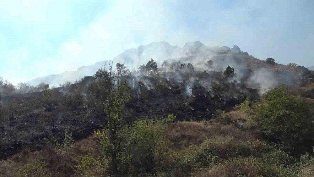 GÜMÜŞHANE'DE GEÇTİĞİMİZ CUMA GÜNÜ CANCA MAHALLESİ, LİMON DERESİ VE TARİHİ CANCA KALESİ ARASINDA BULUNAN BÖLGEDE ÇÖPLERİ YAKMAK İSTEYEN VATANDAŞ  2 HEKTARLIK ALANI KÜLE DÖNDÜRDÜ