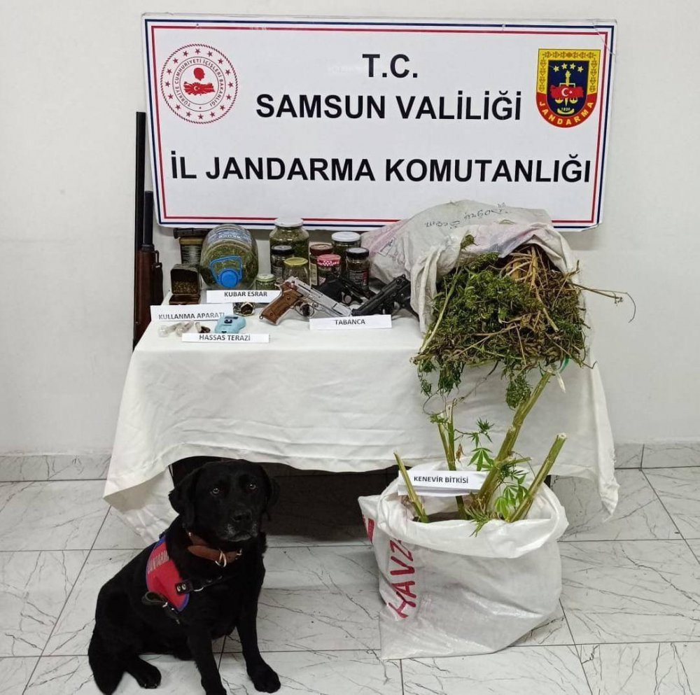 SAMSUN'DA 1-30 EYLÜL TARİHLERİ ARASINDA YAPILAN DENETİM VE KONTROLLERDE 274 ARAÇ TRAFİKTEN MEN EDİLDİ, 1656 ARAÇ VE SÜRÜCÜSÜNE ÇEŞİTLİ KURAL İHLALLERİNDEN 2 MİLYON 578 BİN 574 TL CEZAİ İŞLEM UYGULANDI