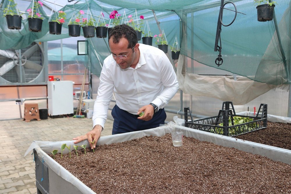 AKÇAABAT BELEDİYESİ, "ÜRETEN AKÇAABAT" VİZYONU ŞEHİRDE İSTİHDAMI ARTTIRAN, HEM İLÇENİN HEM DE ÜLKENİN EKONOMİSİNE KATKIDA BULUNAN PROJELER HAZIRLIYOR VE BU PROJELER, TEK TEK HAYATA GEÇİRİYOR