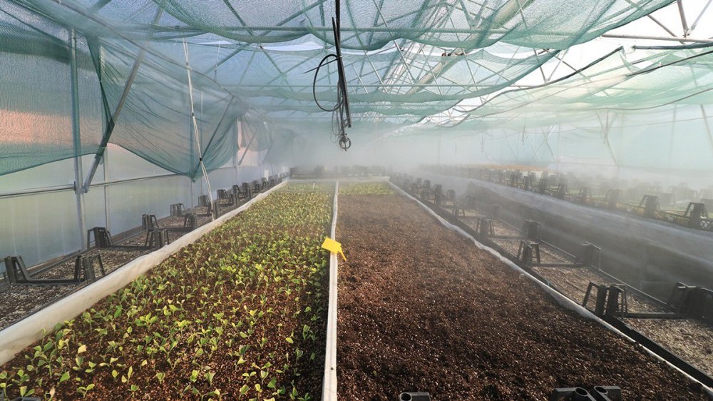 AKÇAABAT BELEDİYESİ, "ÜRETEN AKÇAABAT" VİZYONU ŞEHİRDE İSTİHDAMI ARTTIRAN, HEM İLÇENİN HEM DE ÜLKENİN EKONOMİSİNE KATKIDA BULUNAN PROJELER HAZIRLIYOR VE BU PROJELER, TEK TEK HAYATA GEÇİRİYOR