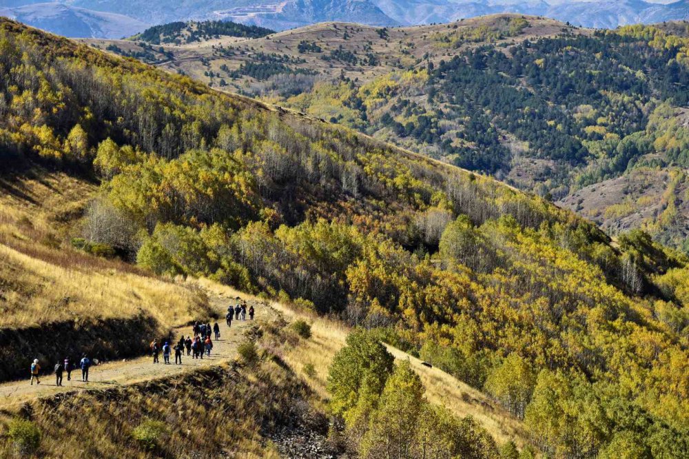 SONBAHARIN BÜYÜLEYİCİ RENKLERİYLE BOYANAN GÜMÜŞHANE DAĞLARI DOĞA SEVERLERİN VAZGEÇİLMEZ DESTİNASYONU HALİNE GELİRKEN 7'DEN 70'E BU GÜZELLİKLERİ GÖRMEK İSTEYEN DOĞASEVERLERİN AKININA UĞRUYOR