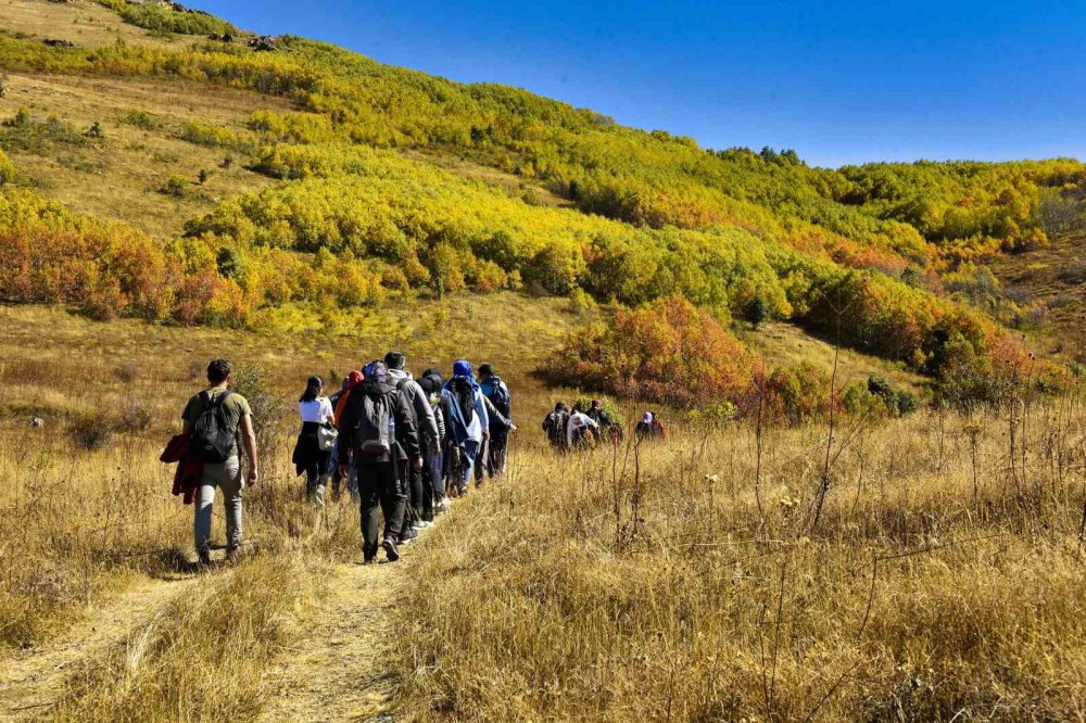 SONBAHARIN BÜYÜLEYİCİ RENKLERİYLE BOYANAN GÜMÜŞHANE DAĞLARI DOĞA SEVERLERİN VAZGEÇİLMEZ DESTİNASYONU HALİNE GELİRKEN 7'DEN 70'E BU GÜZELLİKLERİ GÖRMEK İSTEYEN DOĞASEVERLERİN AKININA UĞRUYOR