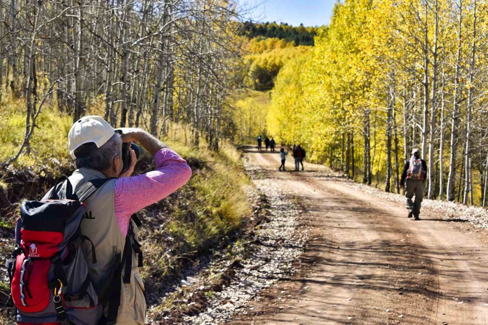 SONBAHARIN BÜYÜLEYİCİ RENKLERİYLE BOYANAN GÜMÜŞHANE DAĞLARI DOĞA SEVERLERİN VAZGEÇİLMEZ DESTİNASYONU HALİNE GELİRKEN 7'DEN 70'E BU GÜZELLİKLERİ GÖRMEK İSTEYEN DOĞASEVERLERİN AKININA UĞRUYOR