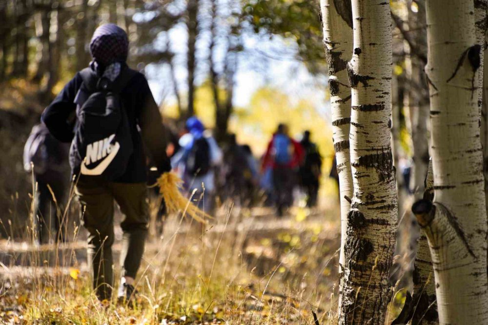 SONBAHARIN BÜYÜLEYİCİ RENKLERİYLE BOYANAN GÜMÜŞHANE DAĞLARI DOĞA SEVERLERİN VAZGEÇİLMEZ DESTİNASYONU HALİNE GELİRKEN 7'DEN 70'E BU GÜZELLİKLERİ GÖRMEK İSTEYEN DOĞASEVERLERİN AKININA UĞRUYOR