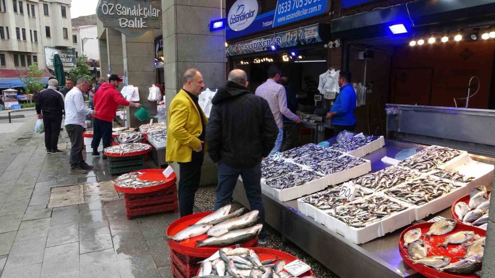 KARADENİZ'DE SON YILLARIN EN BOL BALIK ÇEŞİTLİLİĞİ YAŞANIRKEN SEZON BAŞINDAN BERİ ÖZELLİKLE BÜYÜK BALIKÇI TEKNELERİNİN AĞLARINA PEK TAKILMAYAN PALAMUT, BU KEZ KIYI BALIKÇILARIN OLTASINA TAKILARAK TEZGÂHTAKİ YERİNİ ALDI