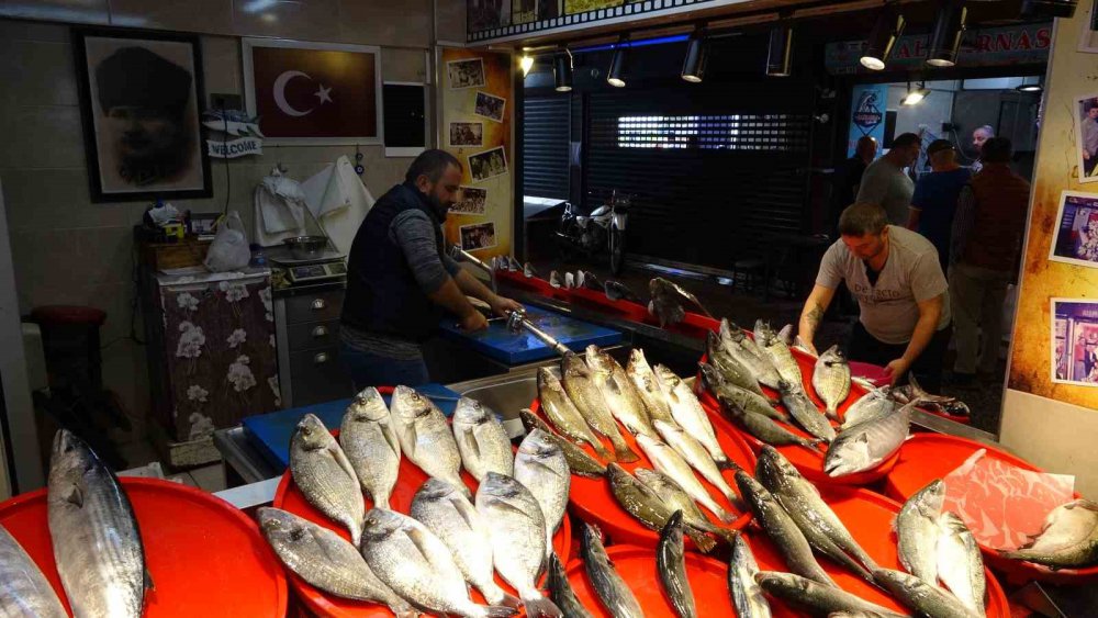 KARADENİZ'DE SON YILLARIN EN BOL BALIK ÇEŞİTLİLİĞİ YAŞANIRKEN SEZON BAŞINDAN BERİ ÖZELLİKLE BÜYÜK BALIKÇI TEKNELERİNİN AĞLARINA PEK TAKILMAYAN PALAMUT, BU KEZ KIYI BALIKÇILARIN OLTASINA TAKILARAK TEZGÂHTAKİ YERİNİ ALDI