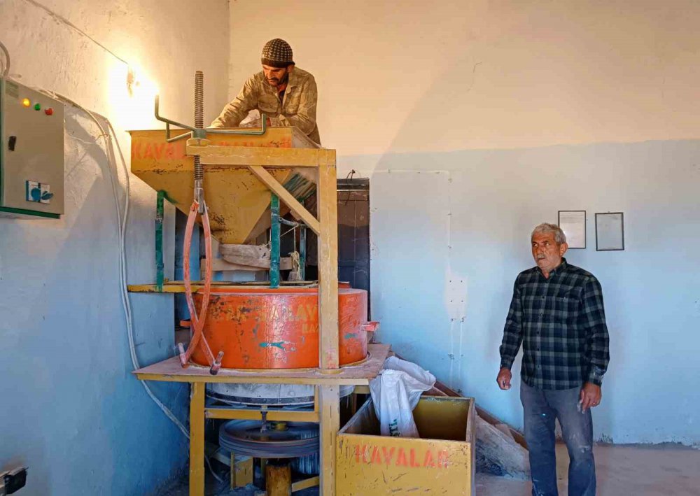 ARTVİN’DE SU DEĞİRMENLERİ YERİNİ ELEKTRİKLİ DEĞİRMENLERE BIRAKTI. ARTVİN'İN YUSUFELİ İLÇESİNE BAĞLI 2 BİN 50 RAKIMLI AVCILAR KÖYÜNDE KURULAN ELEKTRİKLİ DEĞİRMEN ÇEVRE KÖYLERE DE HİZMET VERİYOR