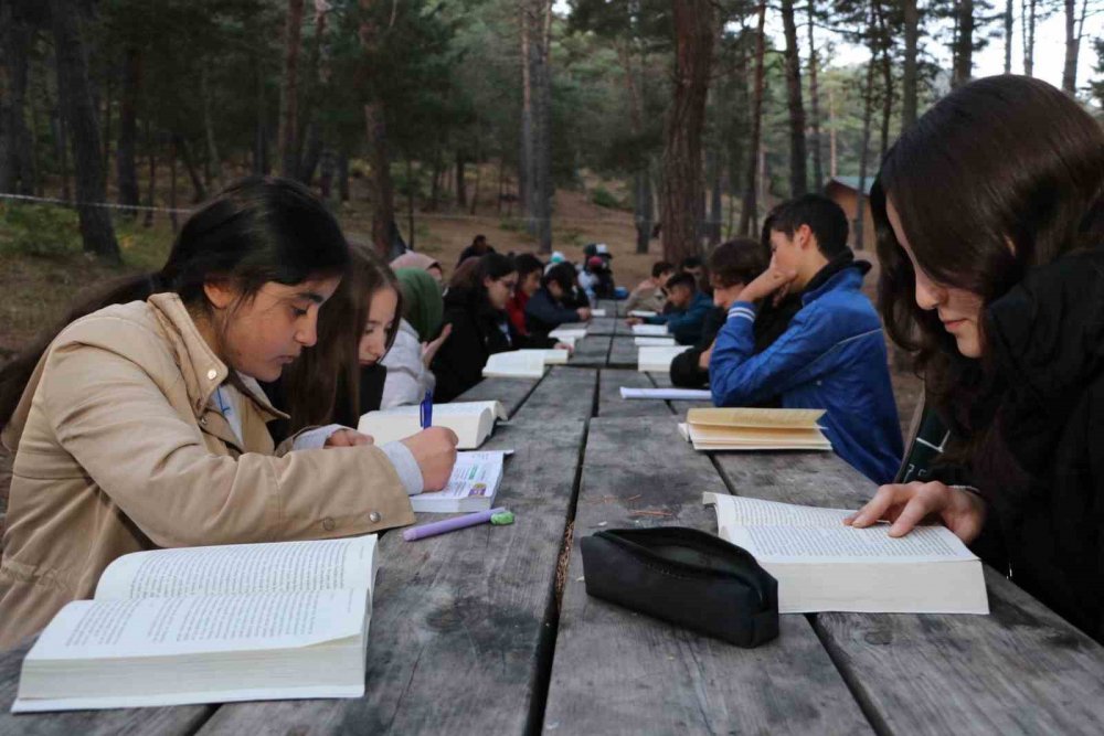 HABABAM SINIFI’NDAN ESİNLENİP OKULU DOĞAYA TAŞIDILAR. AMASYA'DA LİSE ÖĞRENCİLERİNDE DOĞA BİLİNCİ OLUŞTURMAK AMACIYLA BORABOY GÖLÜ TABİAT PARKI'NDA SINIF OLUŞTURULDU