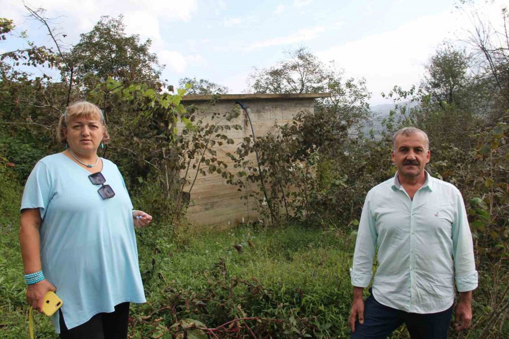 GİRESUN'UN ESPİYE İLÇESİNDE GURBETTEYKEN TAPULU ARAZİLERİNE İL ÖZEL İDARESİ VE MUHTARLIK TARAFINDAN KENDİLERİNE SORULMADAN SU DEPOSU YAPILDIĞINI İDDİA EDEN HATİCE AKBAYRAK KONUYU YARGIYA TAŞIDI