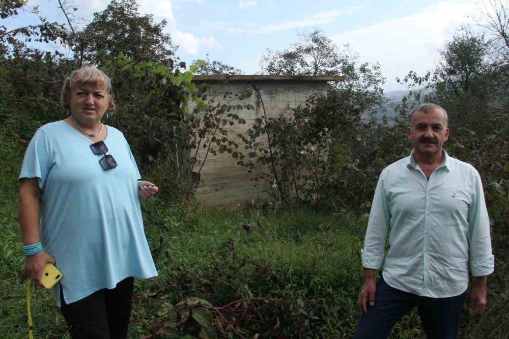 GİRESUN'UN ESPİYE İLÇESİNDE GURBETTEYKEN TAPULU ARAZİLERİNE İL ÖZEL İDARESİ VE MUHTARLIK TARAFINDAN KENDİLERİNE SORULMADAN SU DEPOSU YAPILDIĞINI İDDİA EDEN HATİCE AKBAYRAK KONUYU YARGIYA TAŞIDI