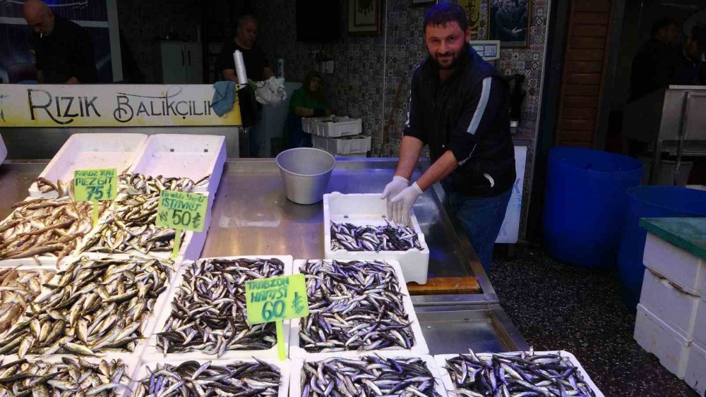 SEZON BAŞINDAN BERİ GENELLİKLE BATI KARADENİZ TARAFLARINDA AVLANARAK TRABZON'DA SATIŞA SUNULAN HAMSİ, BUGÜNLERDE ARTIK TRABZON AÇIKLARINDA AVLANARAK TEZGÂHLARDA YERİNİ ALDI