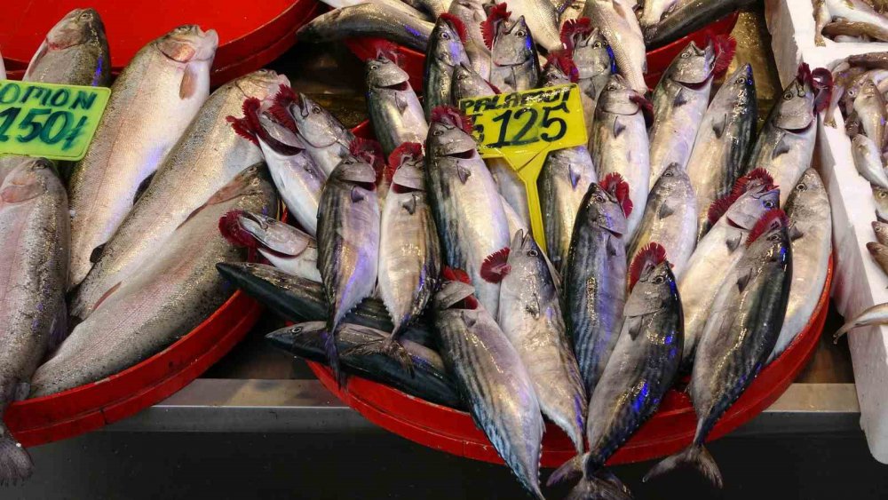 SEZON BAŞINDAN BERİ GENELLİKLE BATI KARADENİZ TARAFLARINDA AVLANARAK TRABZON'DA SATIŞA SUNULAN HAMSİ, BUGÜNLERDE ARTIK TRABZON AÇIKLARINDA AVLANARAK TEZGÂHLARDA YERİNİ ALDI