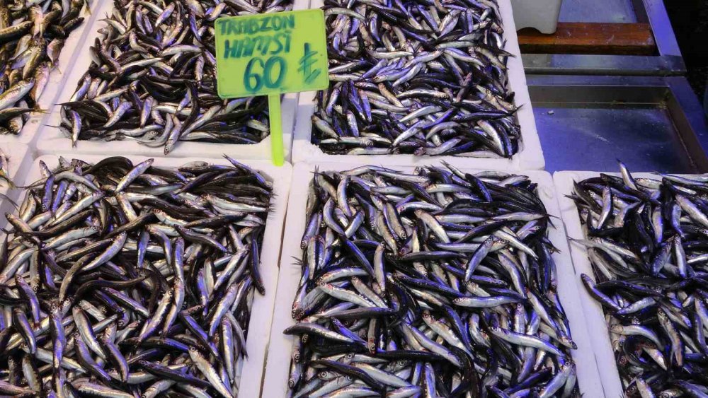 SEZON BAŞINDAN BERİ GENELLİKLE BATI KARADENİZ TARAFLARINDA AVLANARAK TRABZON'DA SATIŞA SUNULAN HAMSİ, BUGÜNLERDE ARTIK TRABZON AÇIKLARINDA AVLANARAK TEZGÂHLARDA YERİNİ ALDI