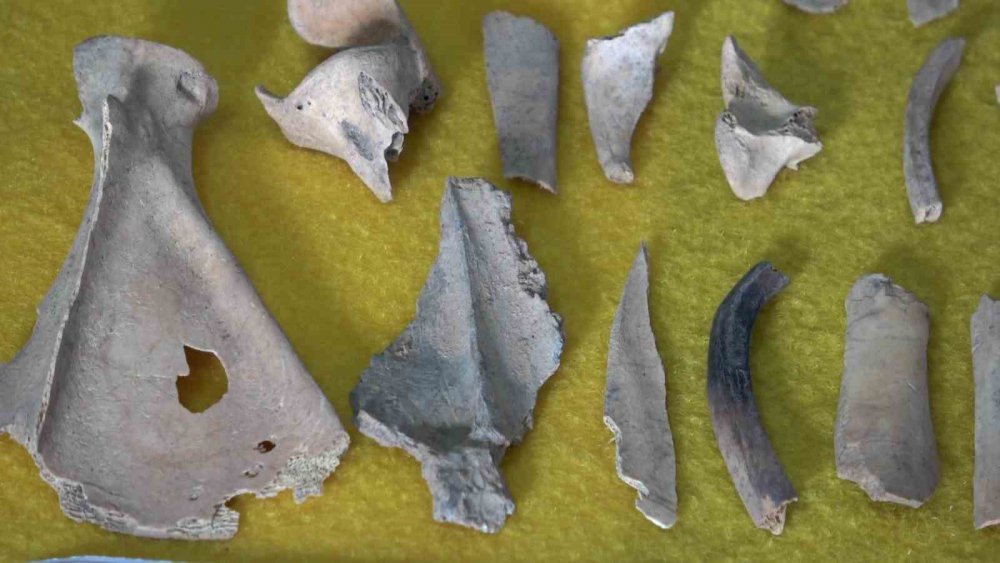 AMASYA'DAKİ OLUZ HÖYÜK KAZILARINDA PERS DÖNEMİNE AİT SARAY MUTFAĞINDA 2 BİN 500 YILLIK TOPRAK TENCERE İLE İÇİNDE KEMİK PARÇALARI VE TAHIL TANELERİ BULUNDU