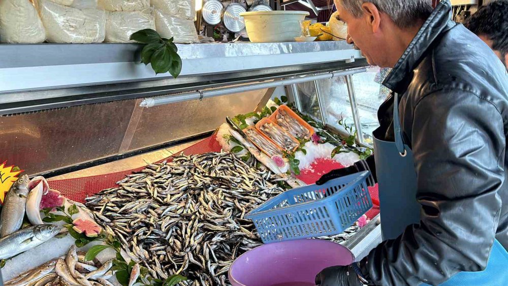 KARADENİZ'DE AVLANAN VE EN YAĞLI DÖNEMİNİ YAŞAYAN HAMSİ, VATANDAŞLAR TARAFINDAN SEVEREK TÜKETİLİYOR