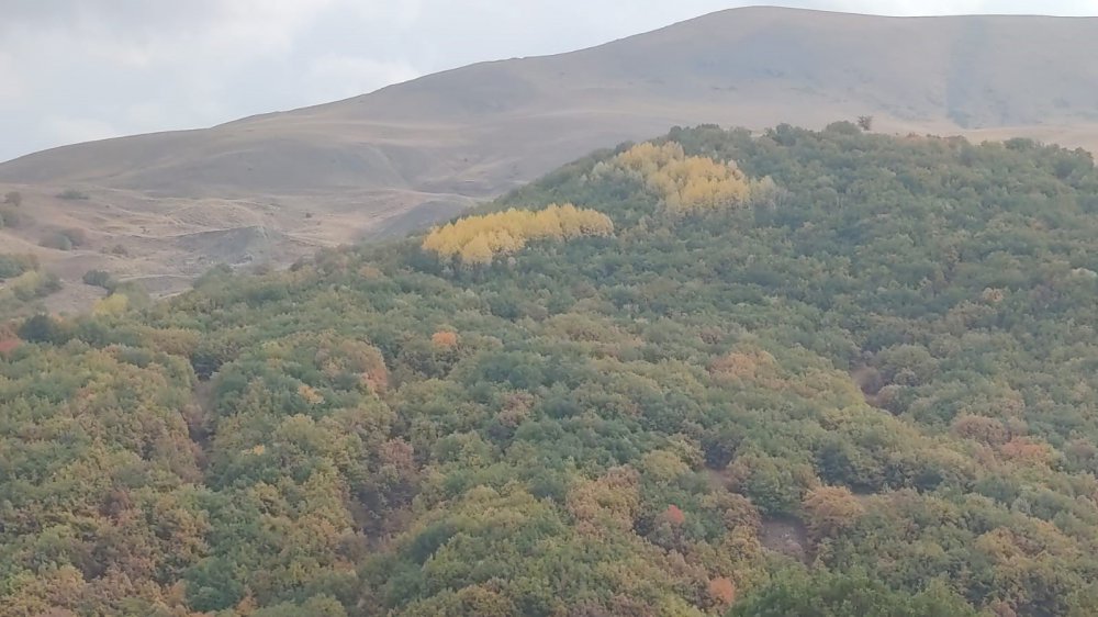 SONBAHAR AYLARININ YAŞANMAYA BAŞLAMASI İLE BİRLİKTE, AŞKALE'NİN TABİATTAKİ DEĞİŞİKLİKLER OBJEKTİFLER VE ALBÜMLERDE YERİNİ ALMAYA BAŞLADI