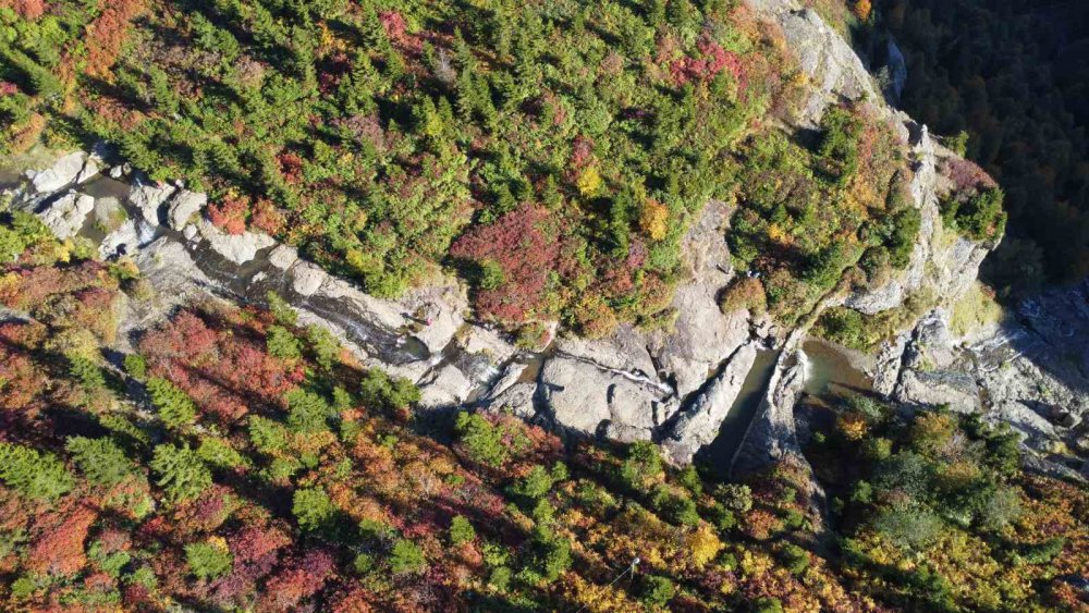 TRABZON'UN ŞALPAZARI İLÇESİ İLE GİRESUN'UN EYNESİL İLÇESİ SAKİNLERİ TARAFINDAN YOĞUN OLARAK KULLANILAN DENİZ SEVİYESİNDEN 2 BİN 182 METRE YÜKSEKTEKİ SİS DAĞI YAYLASI SONBAHARIN TÜM RENKLERİNİ BÜNYESİNDE BARINDIRIYOR