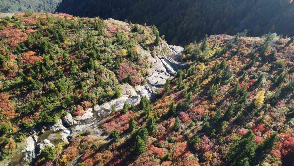 TRABZON'UN ŞALPAZARI İLÇESİ İLE GİRESUN'UN EYNESİL İLÇESİ SAKİNLERİ TARAFINDAN YOĞUN OLARAK KULLANILAN DENİZ SEVİYESİNDEN 2 BİN 182 METRE YÜKSEKTEKİ SİS DAĞI YAYLASI SONBAHARIN TÜM RENKLERİNİ BÜNYESİNDE BARINDIRIYOR