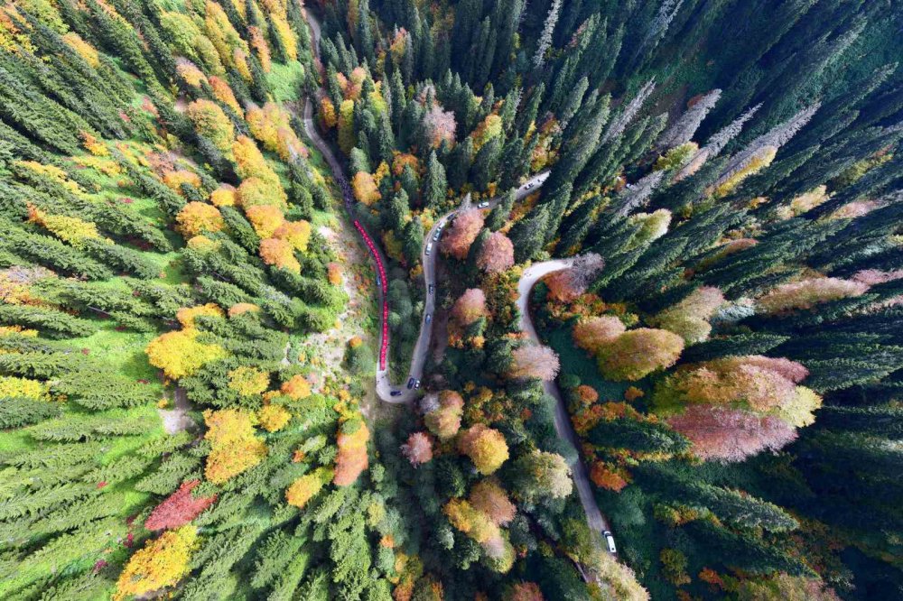 GÜMÜŞHANE'DE CUMHURİYETİN 100. YILI KUTLAMALARI KAPSAMINDA 300'Ü AŞKIN GENÇ SONBAHARIN BÜYÜLÜ RENKLERİNE BEZENEN ÖRÜMCEK ORMANLARI'NDA 100 METRELİK TÜRK BAYRAĞINI 7,5 KİLOMETRE TAŞIYARAK YÜRÜDÜ
