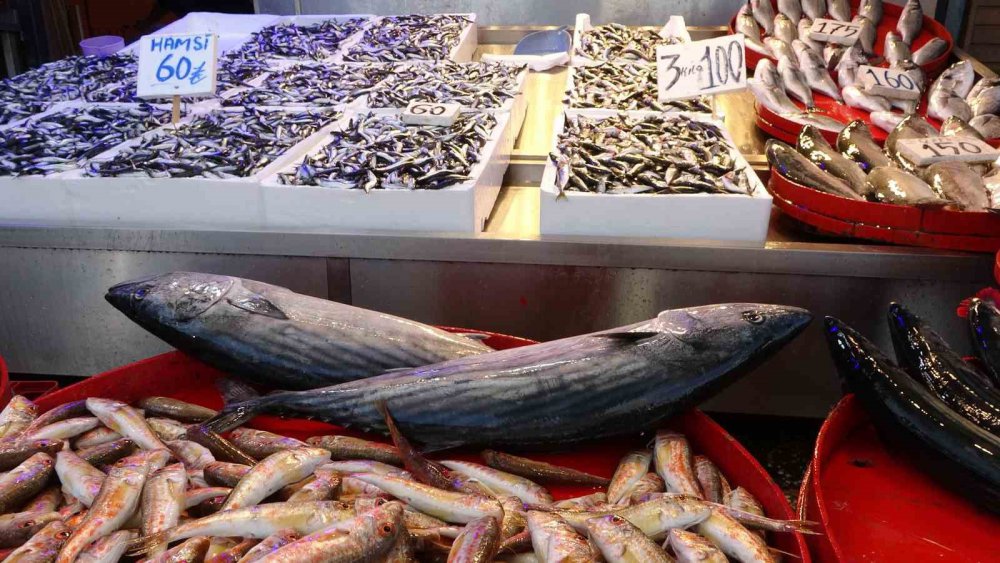 TRABZON BALIK HALİ'NDE DÜN KİLOSU 50 TL'DEN SATILAN HAMSİ BUGÜN İTİBARİYLE FİYATI 60-80 TL ARASINDA DEĞİŞİRKEN, SEZON BAŞINDA PEK GÖRÜNMEYEN PALAMUTTA TEZGÂHLARI SÜSLÜYOR